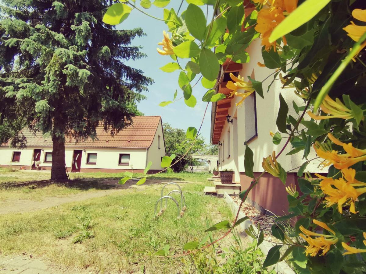 Doppelhaushälfte Nordwind vom Naturhof Usedom Bannemin Exterior foto