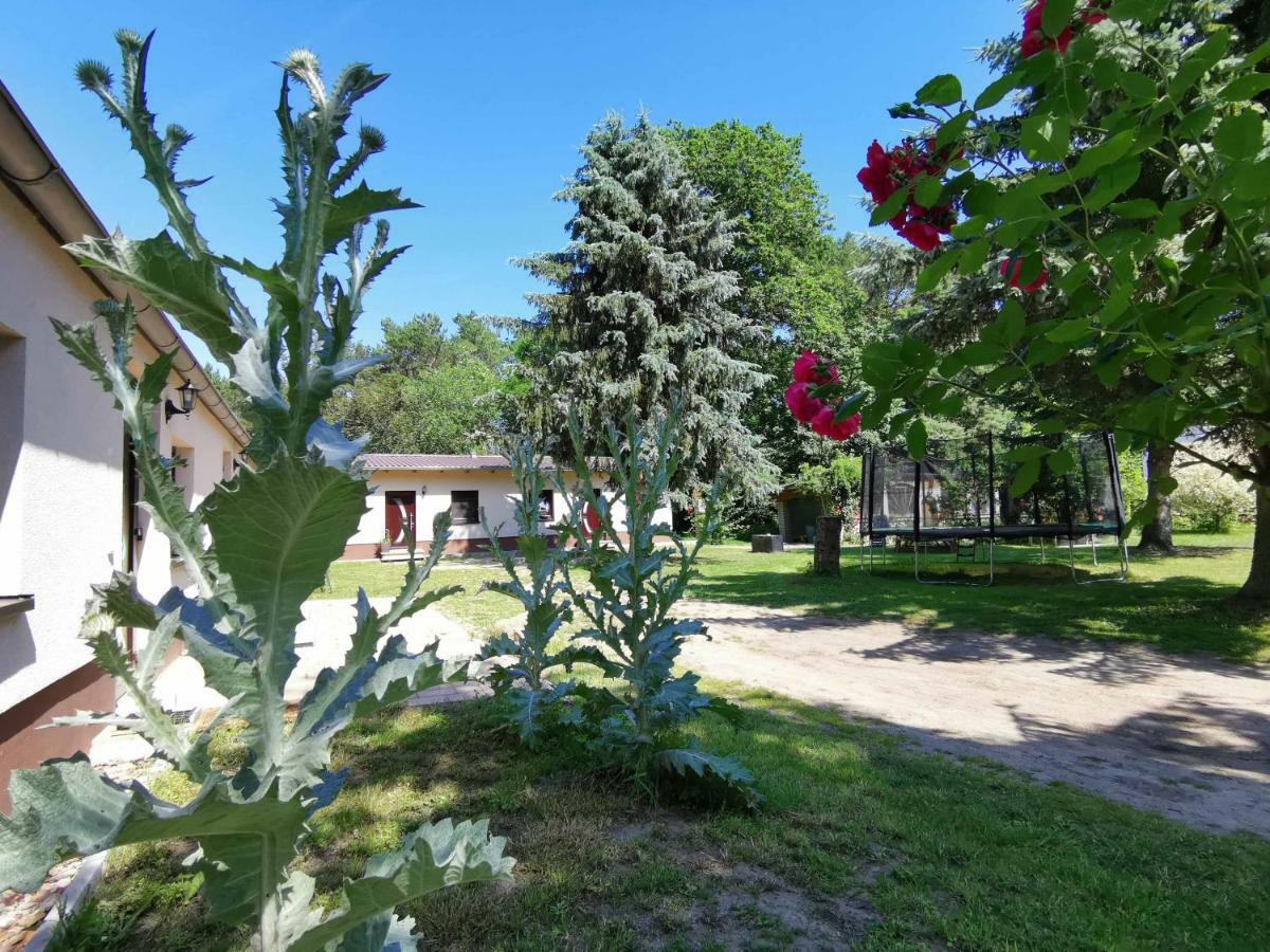 Doppelhaushälfte Nordwind vom Naturhof Usedom Bannemin Exterior foto